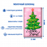 Шоколад молочный «Новогодний», 12 гр.